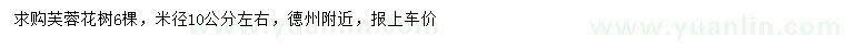 求購芙蓉花樹