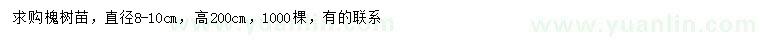 求購直徑8-10公分槐樹苗