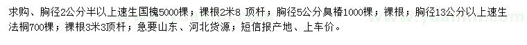 求購速生國槐、臭椿、速生法桐