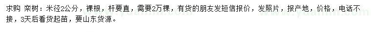 求購米徑2公分欒樹
