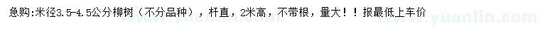求購米徑3.5-4.5公分柳樹