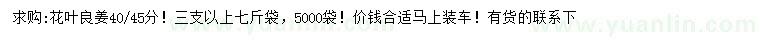 求購40、45公分花葉良姜