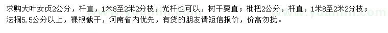 求購大葉女貞、枇杷、法桐