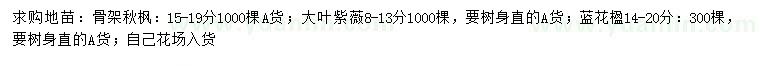 求購秋楓、大葉紫薇、藍花楹