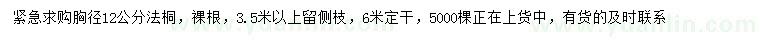 求購胸徑12公分法桐