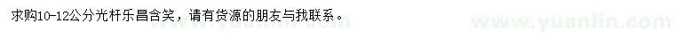 求購10-12公分光桿樂昌含笑