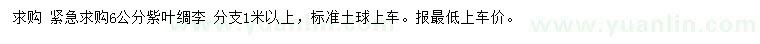 求購(gòu)6公分紫葉綢李