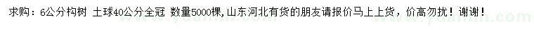 求購6公分構樹(shù)
