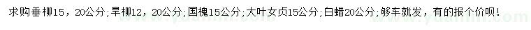 求購垂柳、旱柳、國槐等