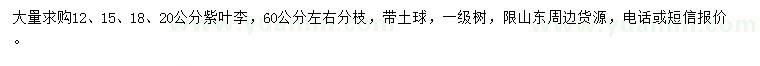 求購12、15、18、20公分紫葉李