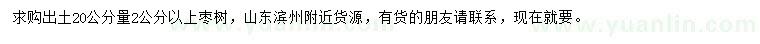求購出土20公分量2公分以上棗樹