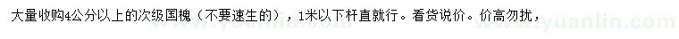 求購4公分以上國槐