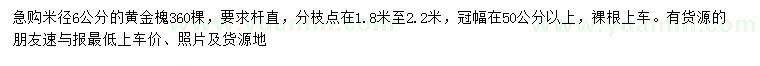 求購(gòu)米徑6公分黃金槐