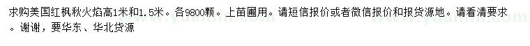 求購(gòu)高1、1.5米美國(guó)紅楓秋火焰