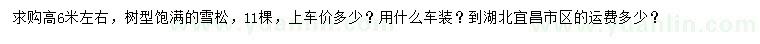 求購高6米雪松