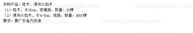 求購20公分桂木、4-5公分澳洲火焰木