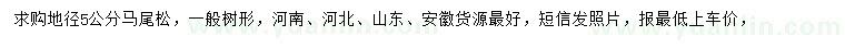 求購地徑5公分馬尾松