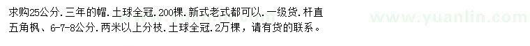 求購25公分法桐、6、7、8公分五角楓