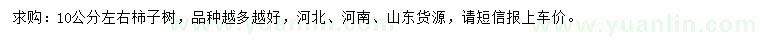 求購10公分柿子樹