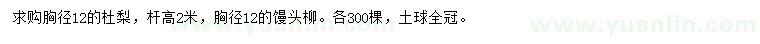 求購胸徑12公分杜梨、饅頭柳
