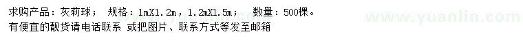 求購1、1.2米灰莉球