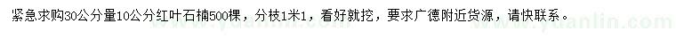 求購30量10公分紅葉石楠