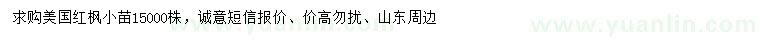 求購美國紅楓小苗