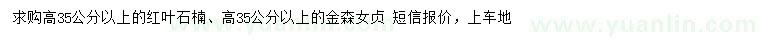 求購高35公分以上紅葉石楠、金森女貞