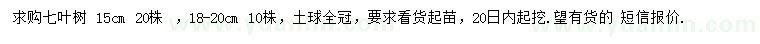 求購15公分、18-20公分七葉樹(shù)