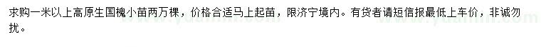 求購高1米國槐