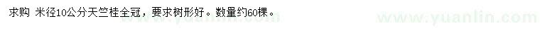 求購米徑10公分天竺桂
