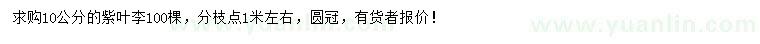 求購10公分紫葉李