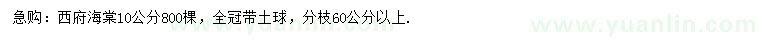 求購(gòu)10公分西府海棠