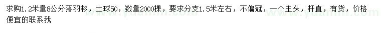 求購1.2米量8公分落羽杉