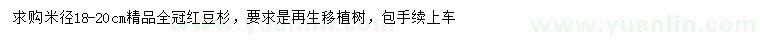 求購米徑18-20公分紅豆杉