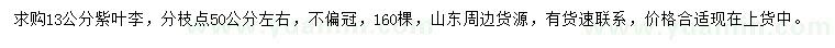 求購13公分紫葉李