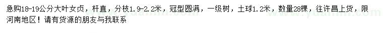 求購18-19公分大葉女貞