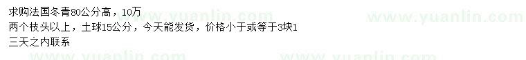 求購高80公分法國冬青