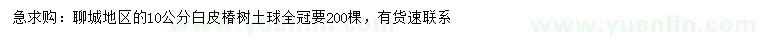 求購10公分白皮椿樹