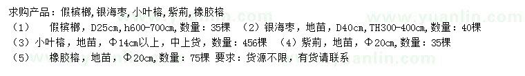 求購假檳榔、銀海棗、小葉榕等