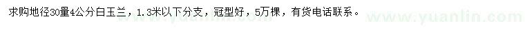 求購地徑30量4公分白玉蘭