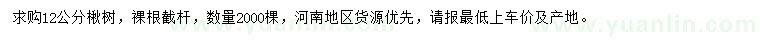 求購12公分楸樹