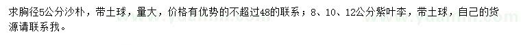 求購胸徑5公分沙樸、8、10、12公分紫葉李