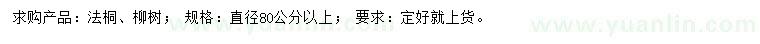 求購直徑80公分以上法桐、柳樹