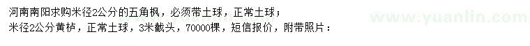 求購米徑2公分五角楓、黃櫨