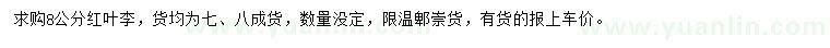 求購8公分紅葉李