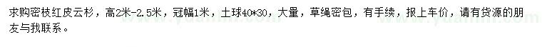 求購高2-2.5米紅皮云杉