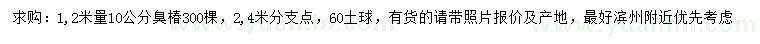 求購1.2米量10公分臭椿