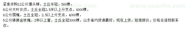 求購(gòu)饅頭柳、大葉女貞、國(guó)槐等