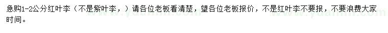 求購(gòu)1-2公分紅葉李